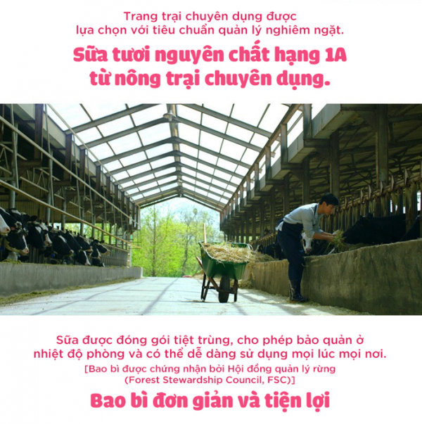 Sữa tươi trái cây Pasteur- Vị dâu – Sữa tươi đạt chuẩn 1A từ LOTTE Wellfood - Ảnh 4