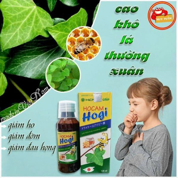Siro ho cảm HOGI - Ảnh 2